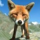 jadefox
