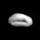 Profile picture of Massimo Conti