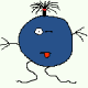 Profile photo of poonagi
