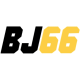 bj66netz