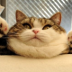 hurles