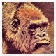 DrTuring