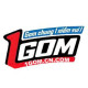 1GOM