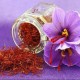 Nhụy Hoa Nghệ Tây