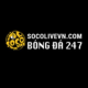 Socolivevn