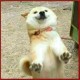 FoxMarkedTitan