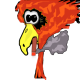 birdash