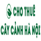 chothuecay224