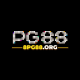 8pg88org1