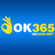 ok365anet