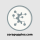 ZORAPUPPIES COM