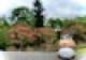 Wadeda