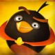 fazle321