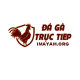 ĐÁ GÀ TRỰC TIẾP