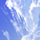 Aeroxia