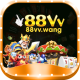 wang88vv