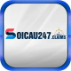 Soi cầu 247