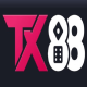 tx88 investment