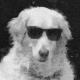 Avatar of kino-was-here