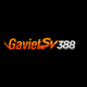 GAVIETSV388
