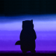 Avatar of sadnesszephyr