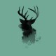 bandermoose
