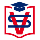 vstepvninfo
