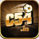 C54 - in