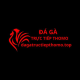 Đá gà trực tiếp