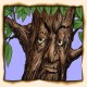 skinbark