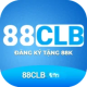 88CLB tax