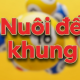 nuoidekhung