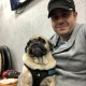 baxterpug