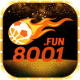 8001funn