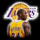 Raydric #24