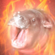 Avatar of spiska