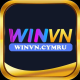 winvn