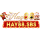 hay88sbsv1