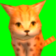 JaredRB9000