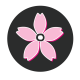 vyo