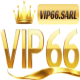 Vip66sarl2