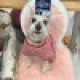 rosiestoes