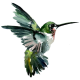 Avatar of Chen Pan