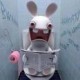 Swann_