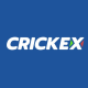 Crickex Org