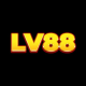 Primary Photo for LV88 Technology