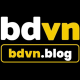 bdvnblog1