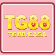tgcasa