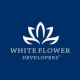 whiteflower20