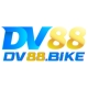 DV 88